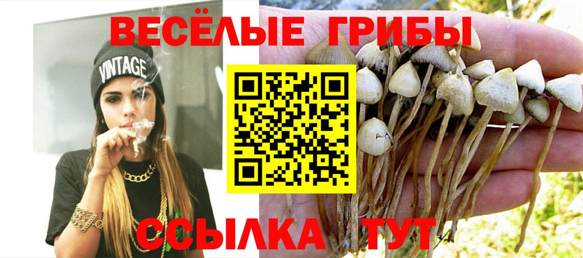 Лсд 25 Топки