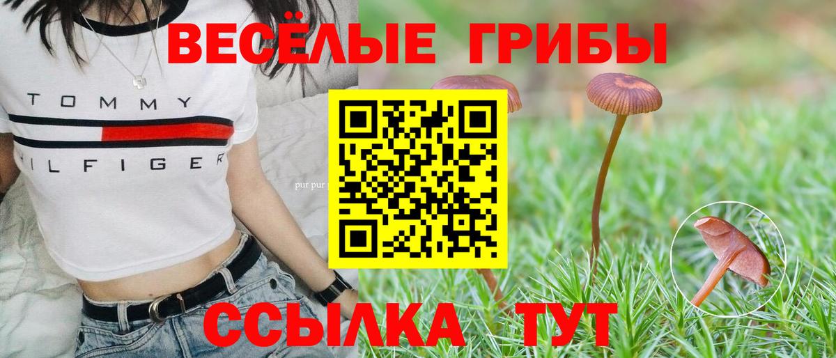 Топки  Галлюциногенные грибы ЛСД  Вход с VPN 